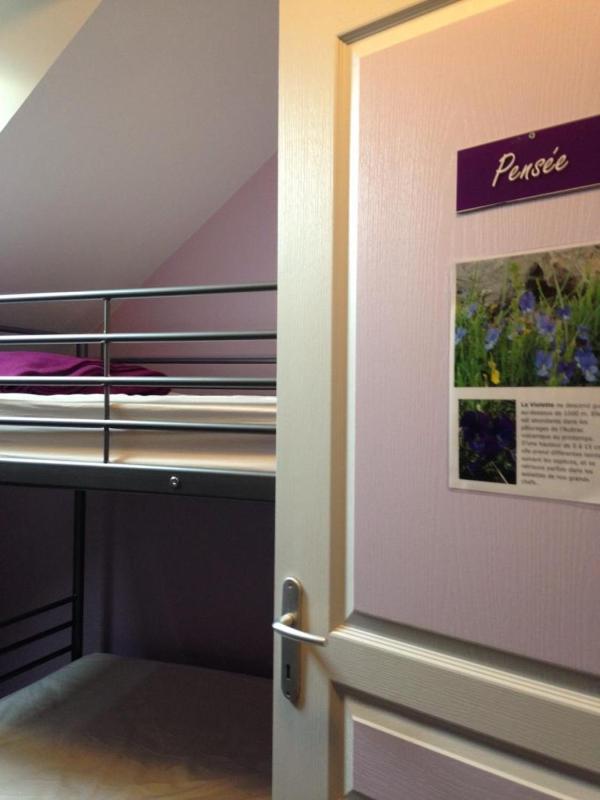 Bunk Bed in Mixed Dormitory Room image 3