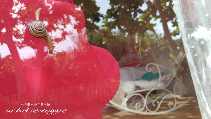 whitiedoggie Villa - image 22