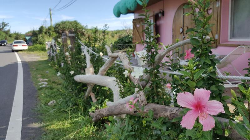 whitiedoggie Villa - image 40