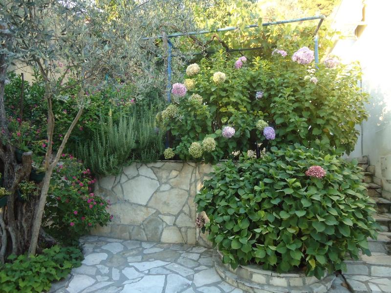 Studio with Patio image 3