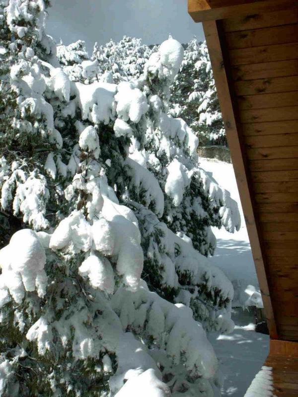 Junior Suite image 4