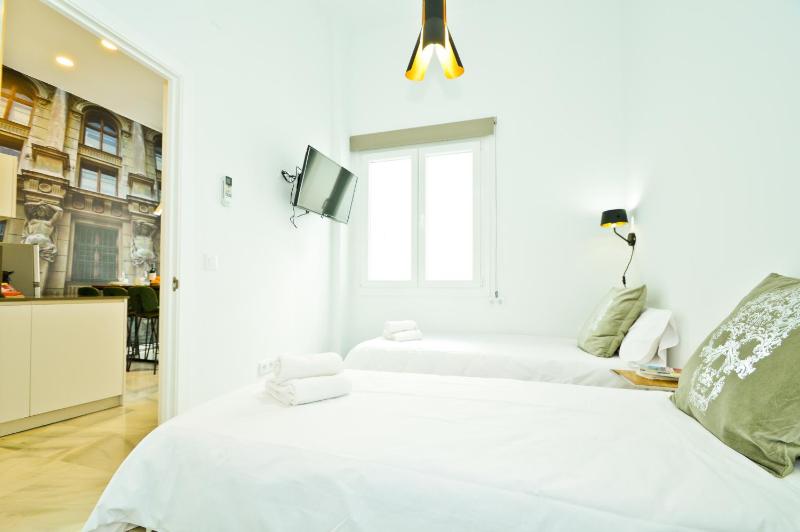 Two-Bedroom Apartment  (SUITE5), San Eloy 38 image 3