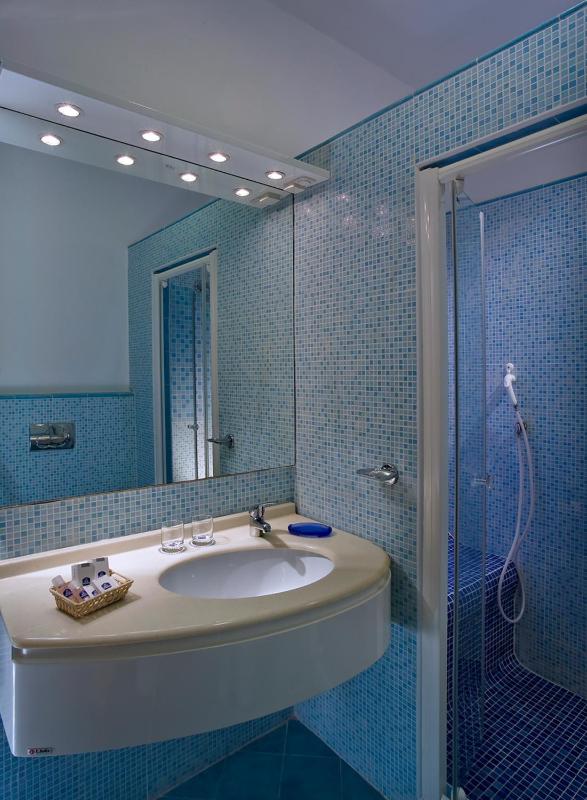 Double or Twin Room image 4