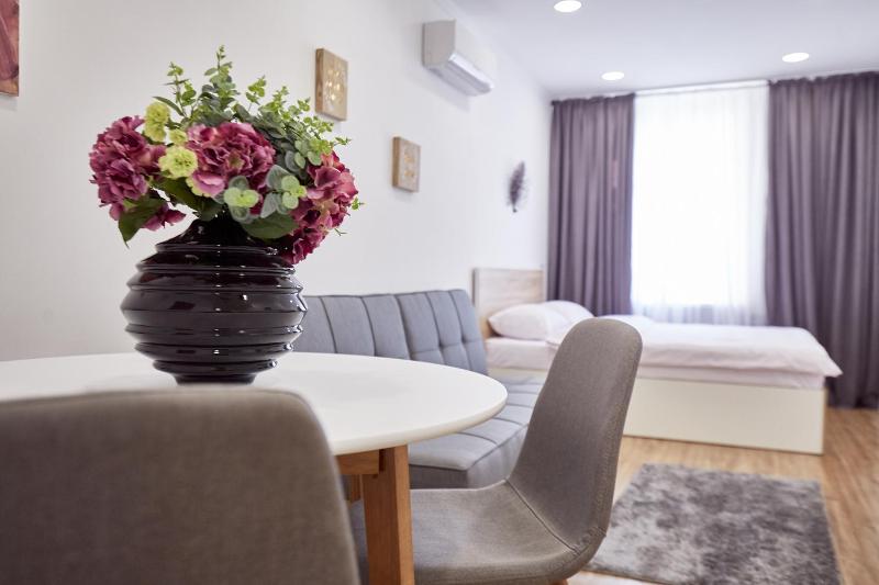 Standard Apartment image 4