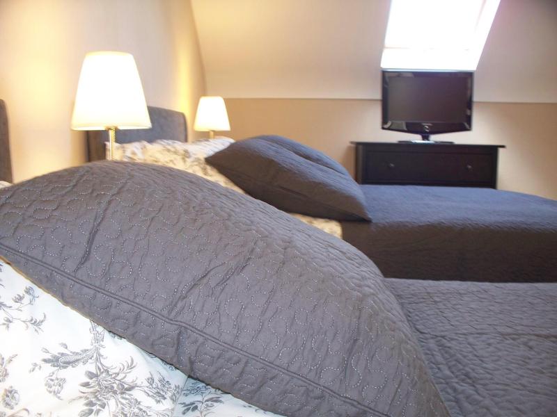 Double or Twin Room image 2