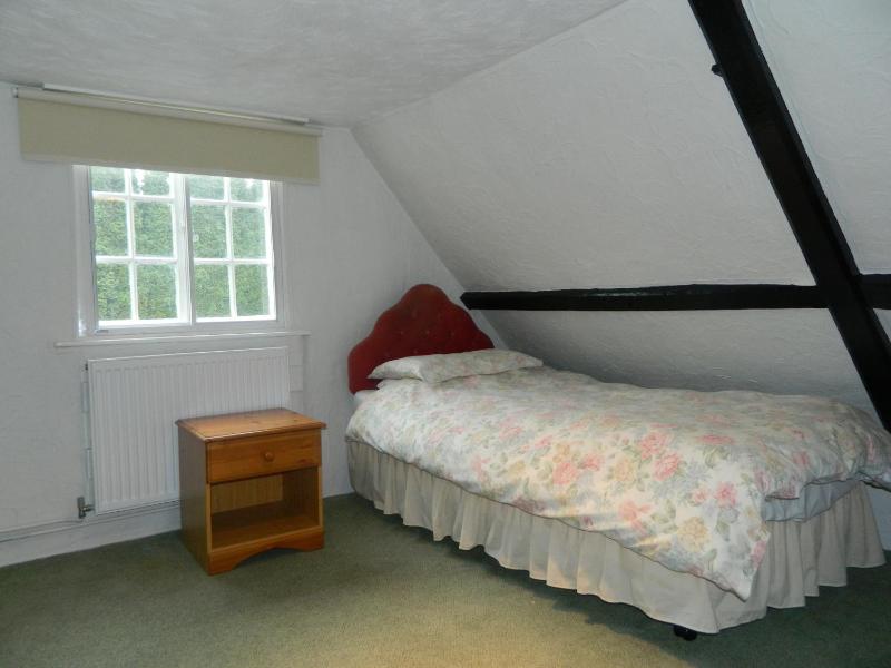 Economy Single Room image 4