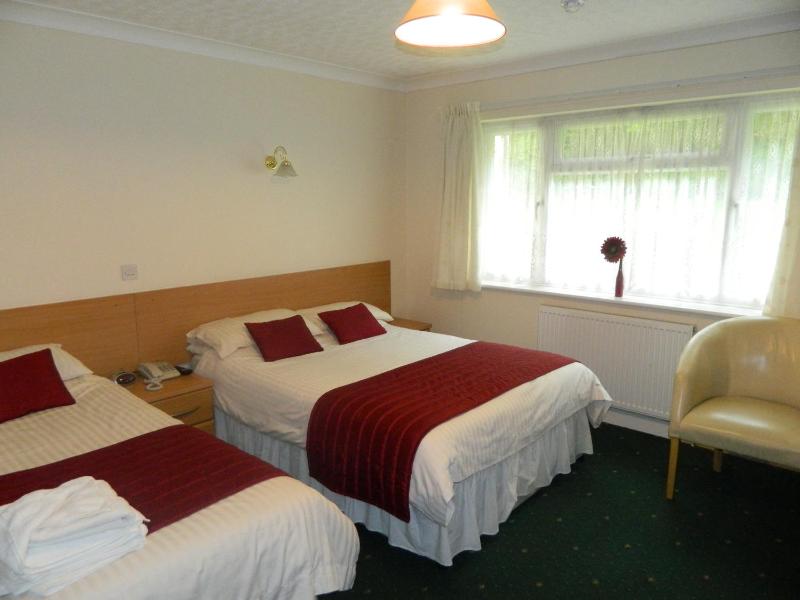 Twin Room image 3