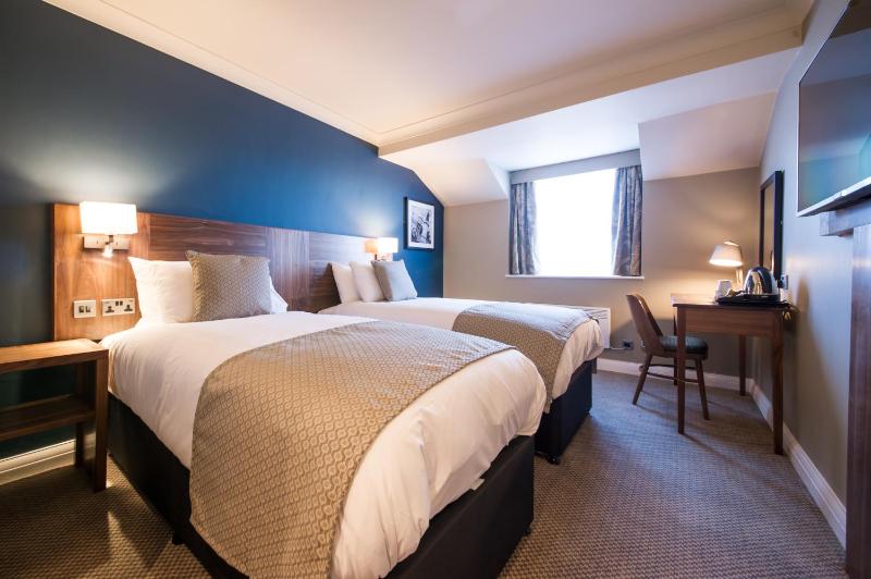 Standard Twin Room image 3