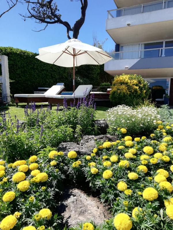 BDA Hotel & Spa - image 7
