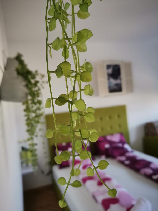 Dream Apt with parking - image 14
