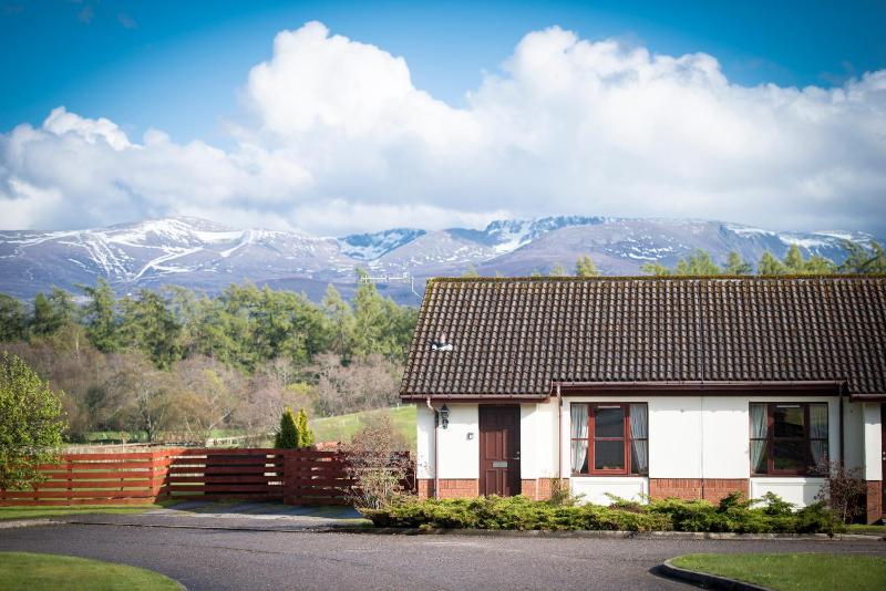 One-Bedroom Bungalow - Pet Friendly image 1