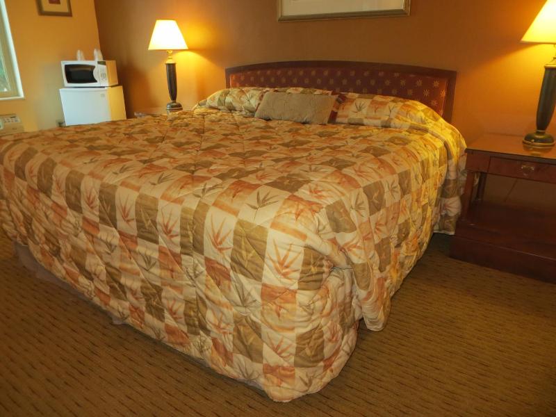 Cameo Motel - Portland - image 8