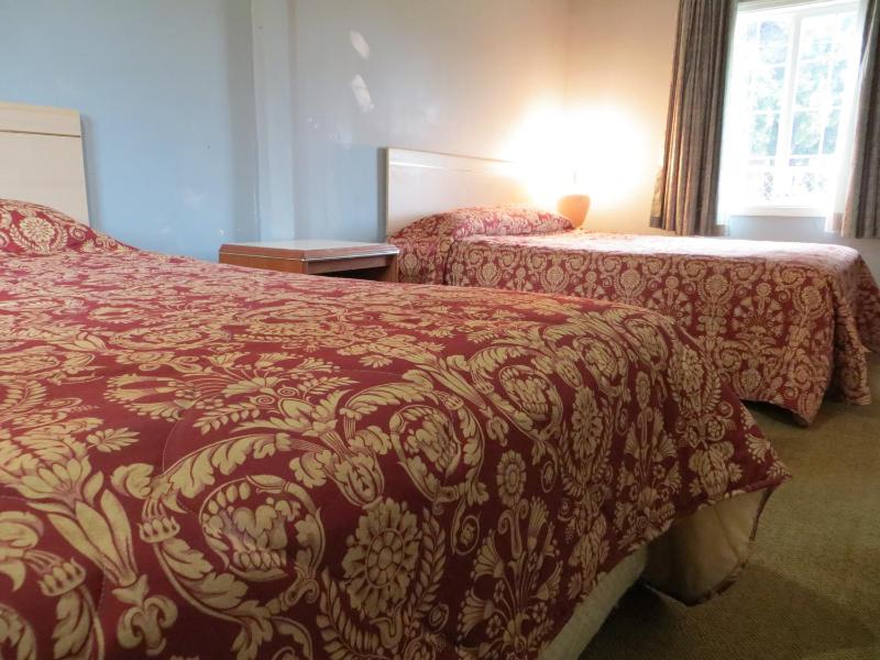 Madison Suites Motel - image 2