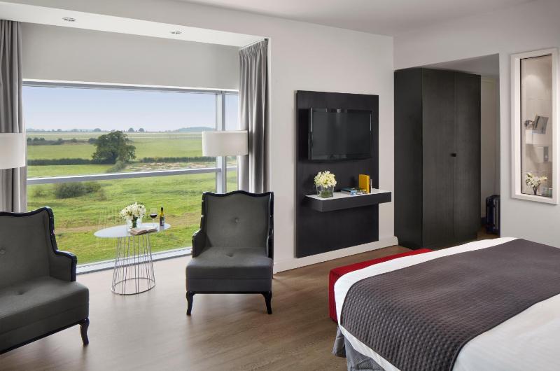 Premium Room with Runway View image 4