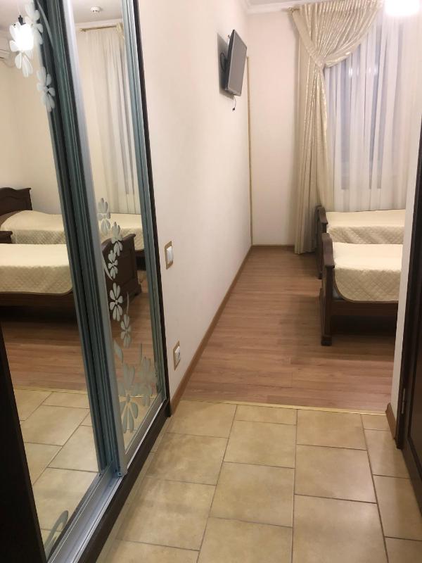 Deluxe Double Room with Shower image 2