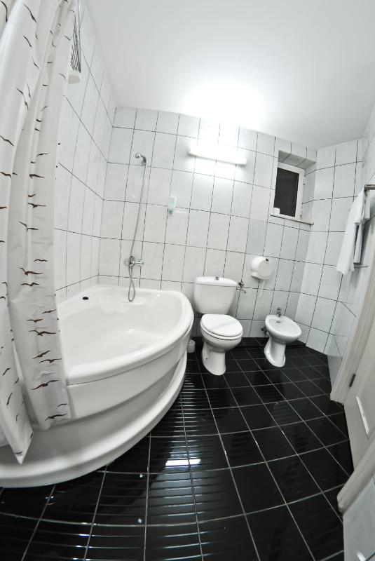 Superior One-Bedroom Suite image 3