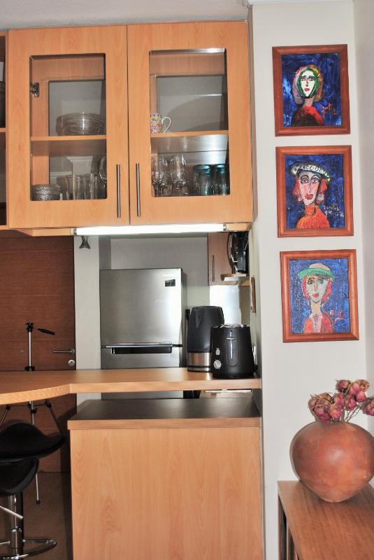 Studio Apartment En Providencia - image 10