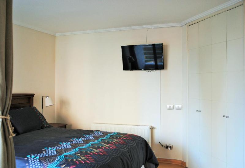 Studio Apartment En Providencia - image 11