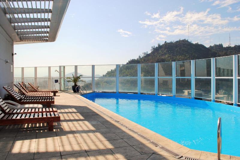 Studio Apartment En Providencia - image 9