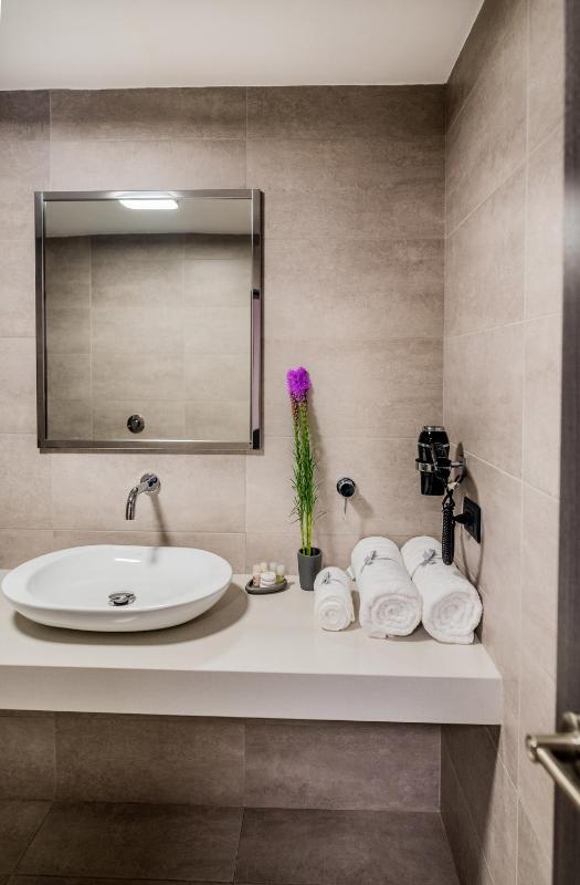 Hotel Viza - image 4