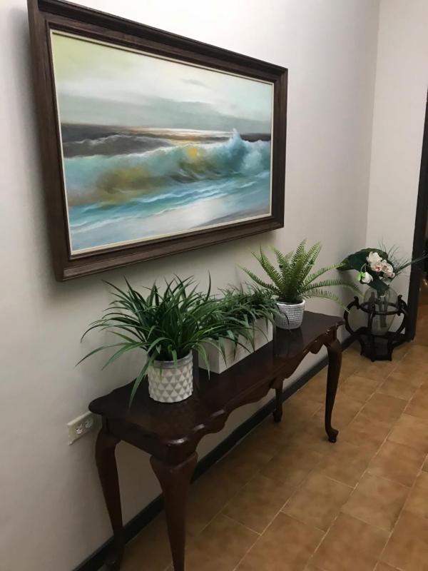 One-Bedroom Apartment image 1