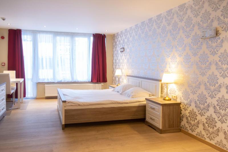 Deluxe Apartment image 4