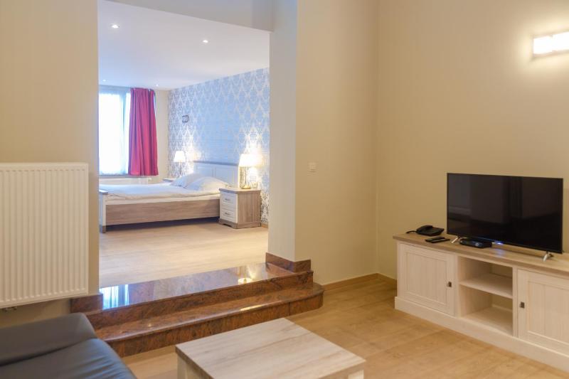 Deluxe Apartment image 3