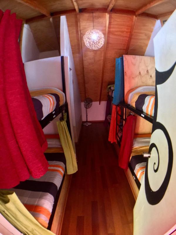 Gecko Hostel - image 23