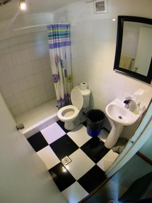 Gecko Hostel - image 47