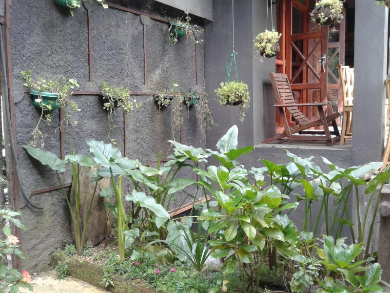 King Fern Cottage - image 4