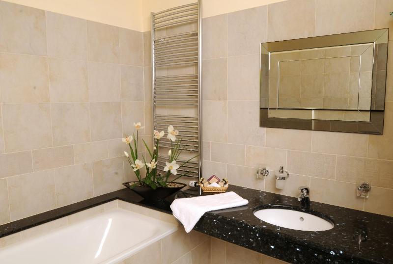 Luxury One-Bedroom Apartment image 4