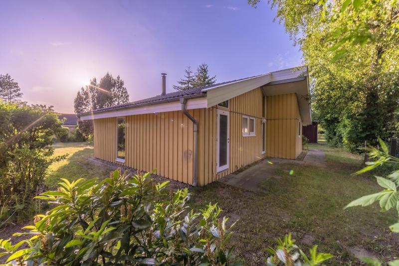 Seeschwalbe image 3
