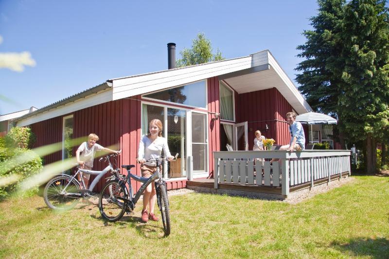 Seeschwalbe image 1
