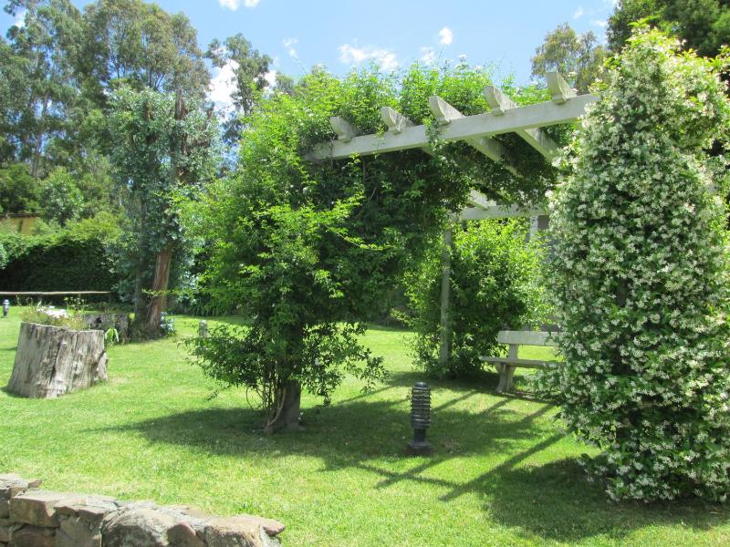 La Casa de Liber - image 10