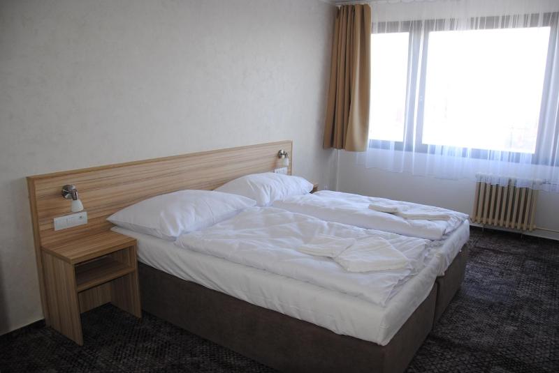 Deluxe Double or Twin Room image 2