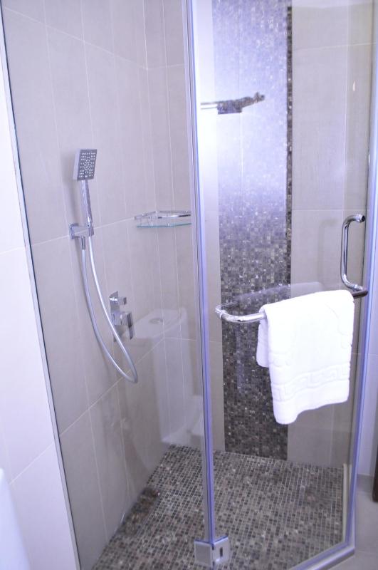 Deluxe Apartment image 4