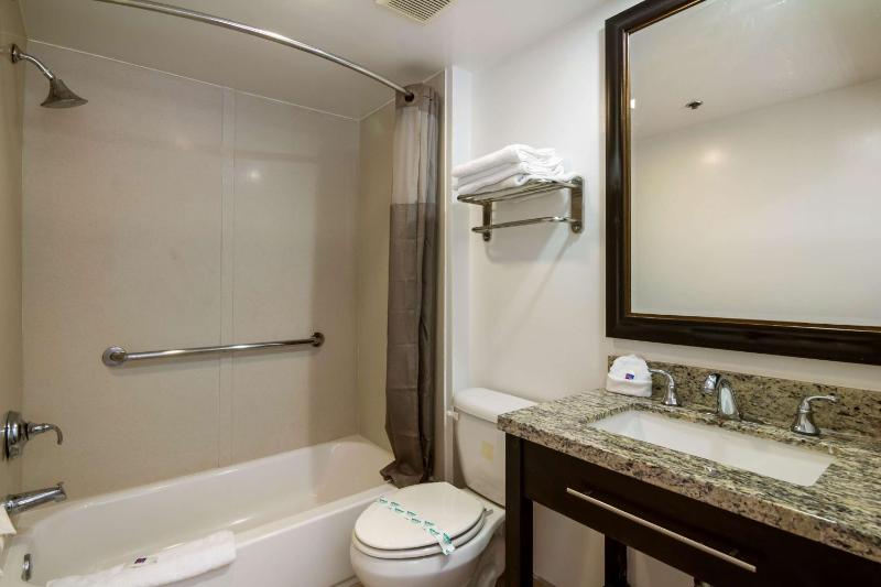 Deluxe Suite - Non-Smoking image 2