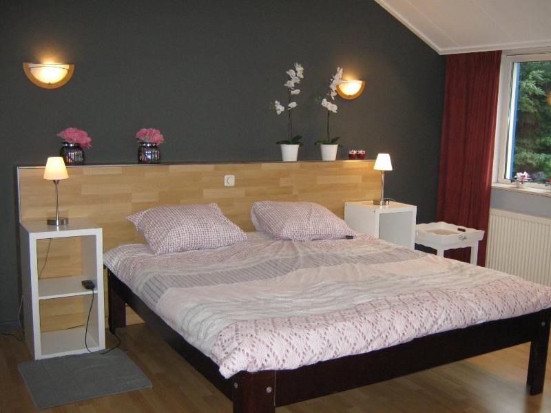 Deluxe King Room image 3