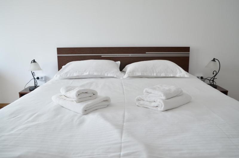 One-Bedroom Apartment image 4