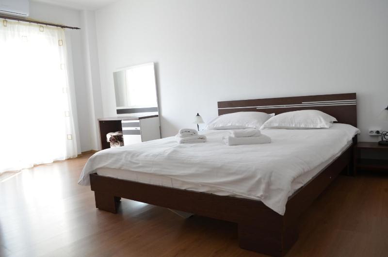 One-Bedroom Apartment image 3