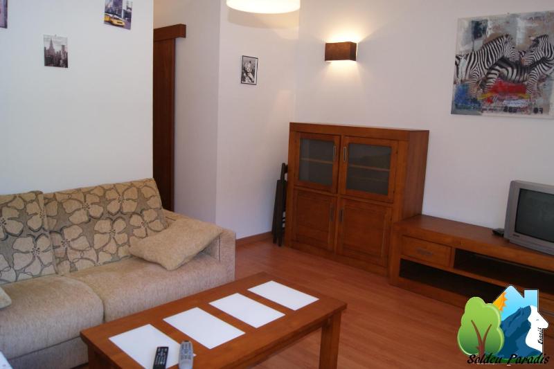 One-Bedroom Apartment - ORCH image 2