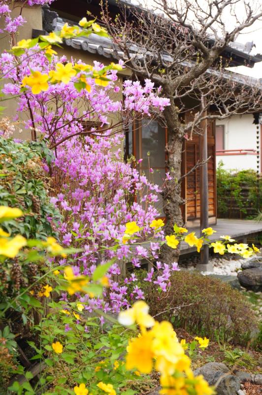 Atelier Bee's Knees Bed & Breakfast - image 12