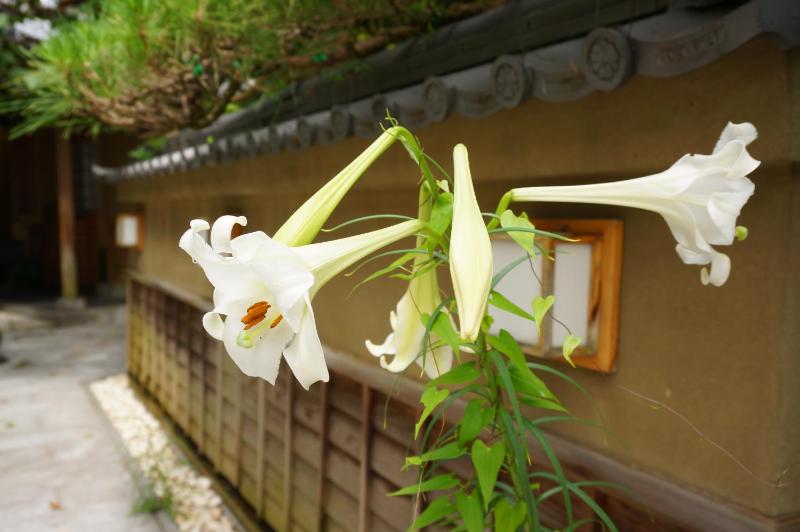 Atelier Bee's Knees Bed & Breakfast - image 14