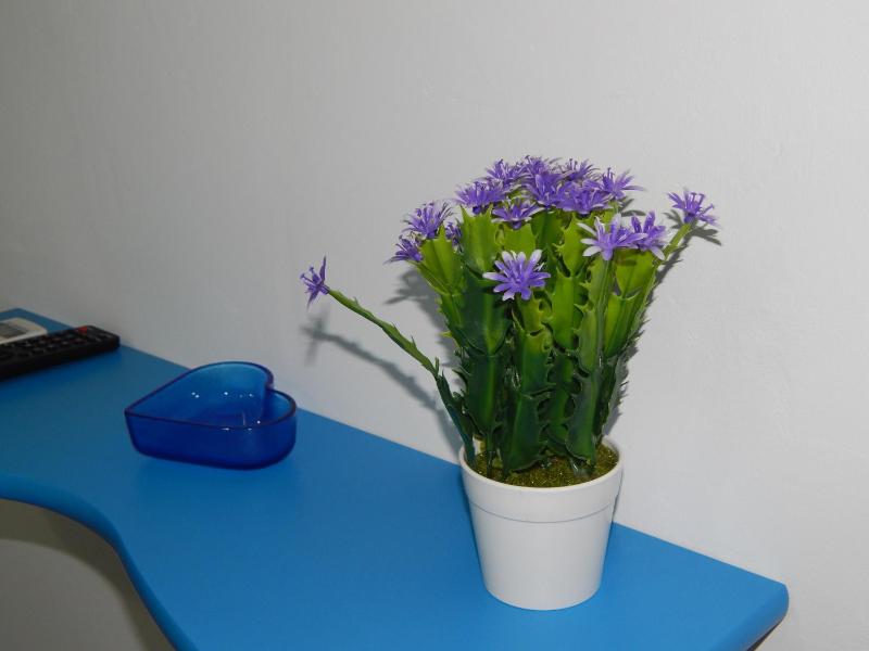 B&B 36 Passi dal Mare - image 39