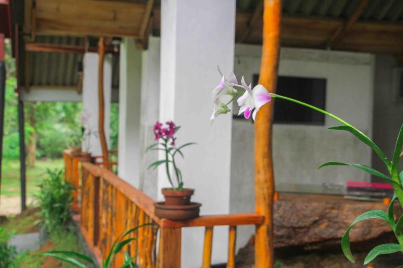 Victory Villa Sigiriya - image 11