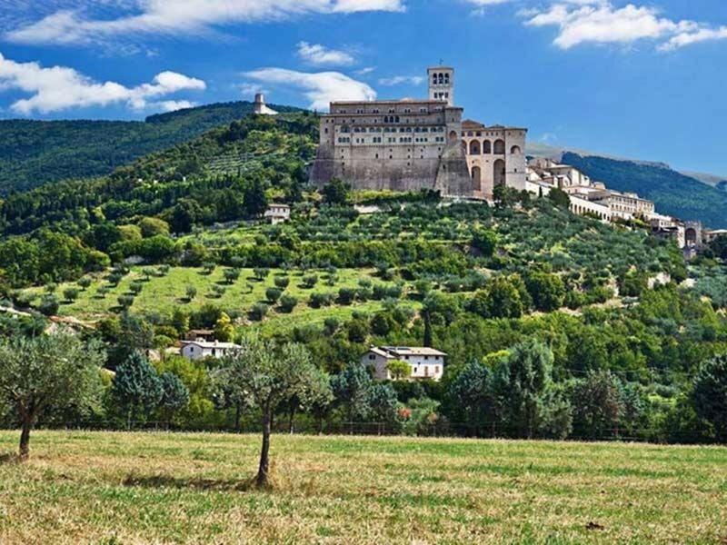 Agriturismo Il Girasole Assisi - image 4