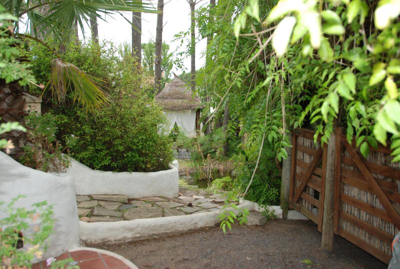 El Delfin - image 32