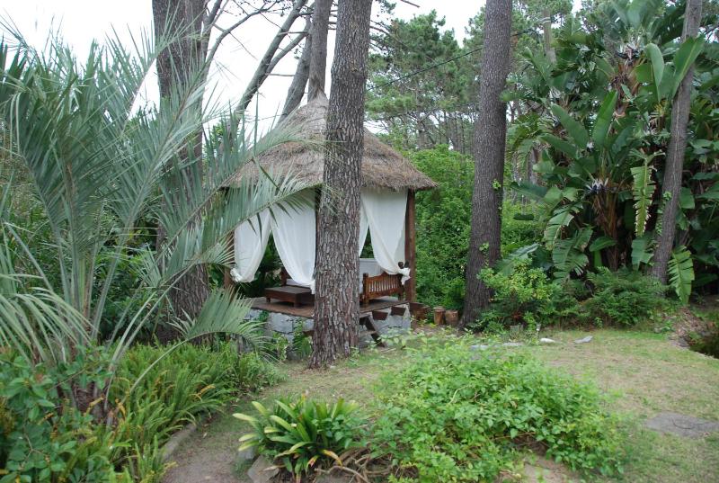 El Delfin - image 4