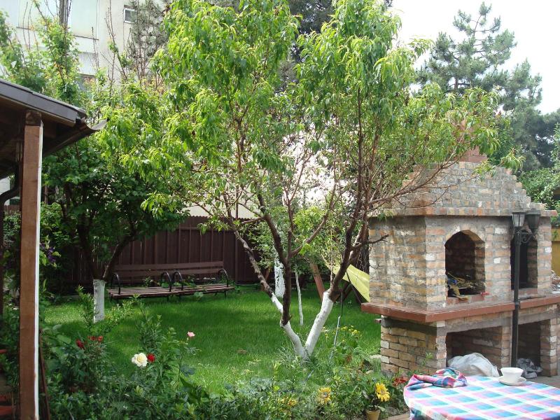Pensiunea Casa Soarelui - image 40