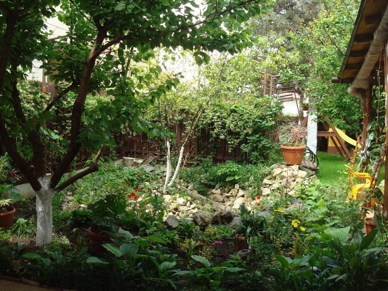 Pensiunea Casa Soarelui - image 10